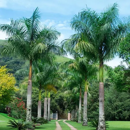 Pousada Quintal Da Prosa Sao Francisco Xavier Exterior photo