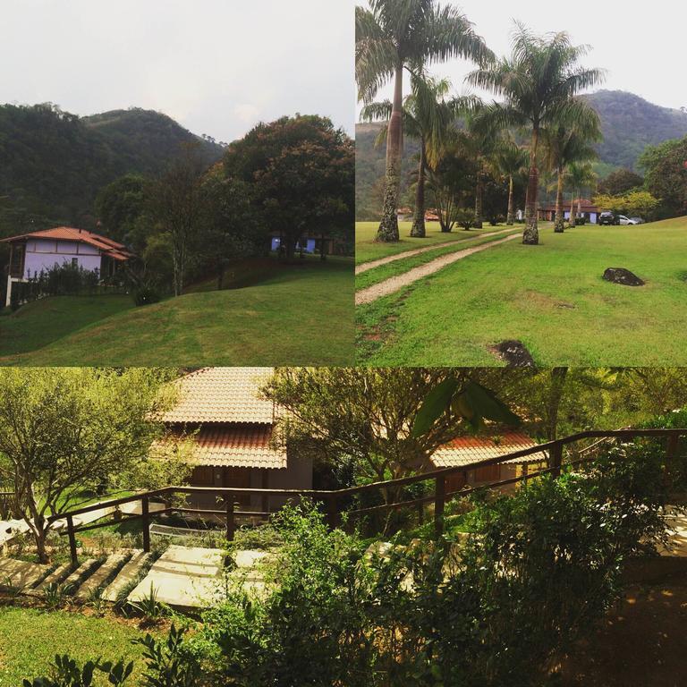 Quintal Da Prosa